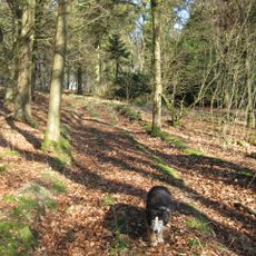 Boddington Camp: a slight univallate hillfort on the summit of Boddington Hill