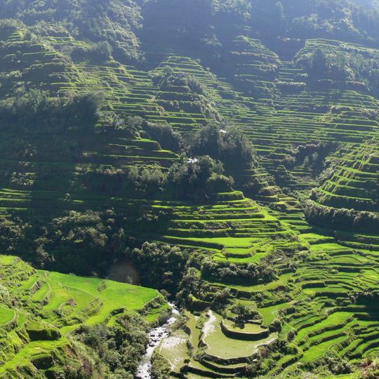 Terrazzamenti di Banaue