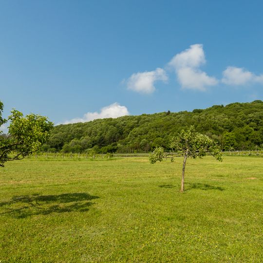 Haardtrand - Steinbühl