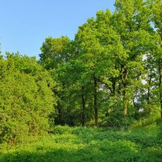 Bruch Deuben (north)