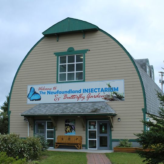 Newfoundland Insectarium