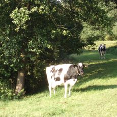 Battery on the Schalmdijk