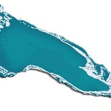 Laguna Busch