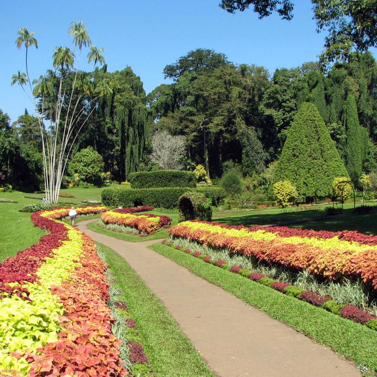 Jardins Botânicos Reais de Peradeniya