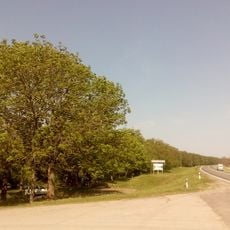 Condrița