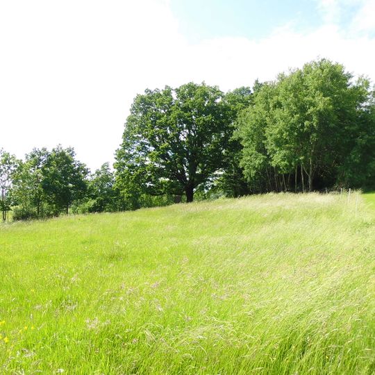 1 Stieleiche, "Eiche am Rahnberg"