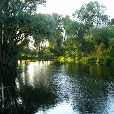 Tollensetal mit Zuflüssen