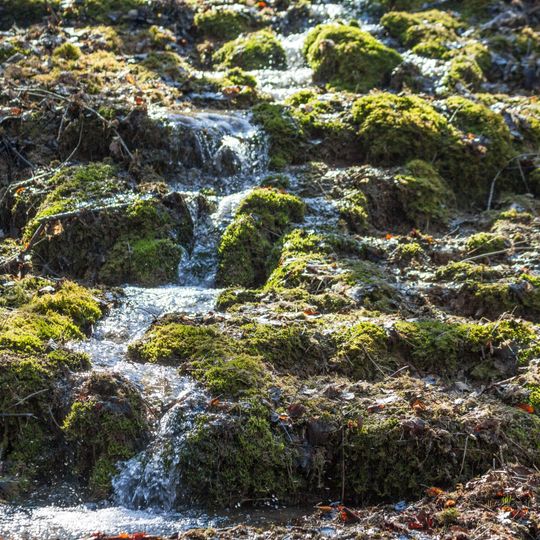 Junge Steinerne Rinne bei Rohrbach