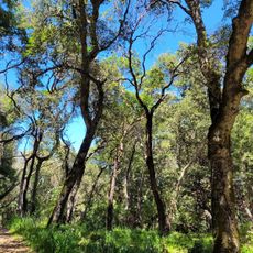 Teague Hill Open Space Preserve
