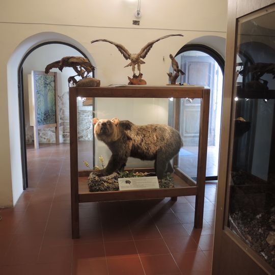 Museo dell'orso
