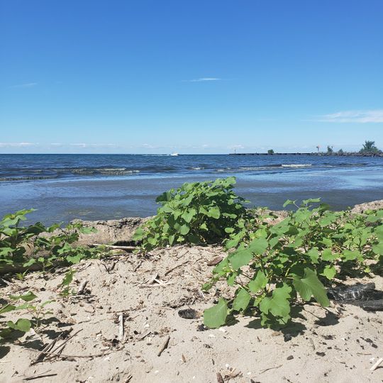Oak Orchard State Marine Park