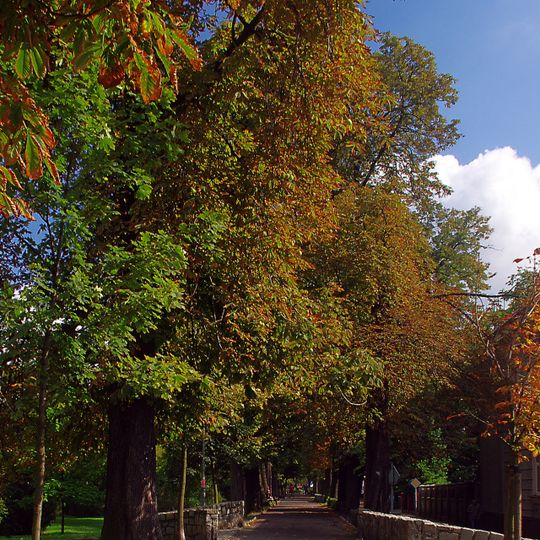 Pozostałości fortyfikacji ziemnych