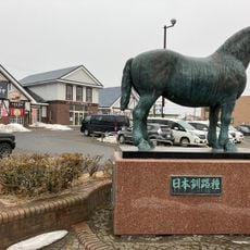 日本釧路種