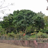 contea di São Lourenço dos Órgãos