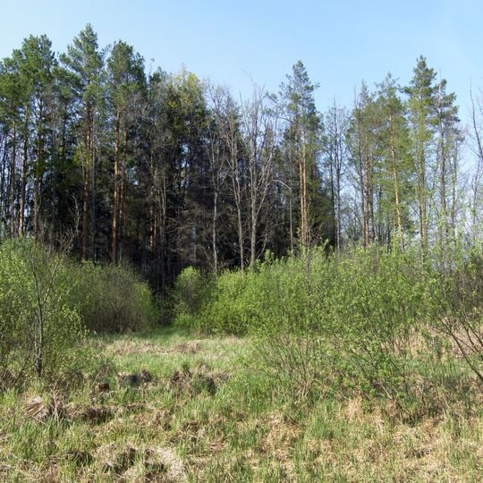 Mykhailovychi landscape preserve