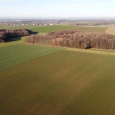 Pastholz Langenleuba