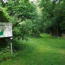 Hales and Shadwell Woods