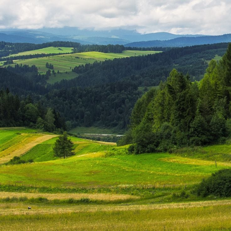 Pieniny National Park