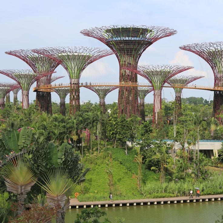 Gardens by the Bay