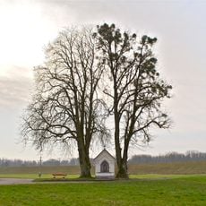 Kastanie und Linde bei der Grüner Kapelle