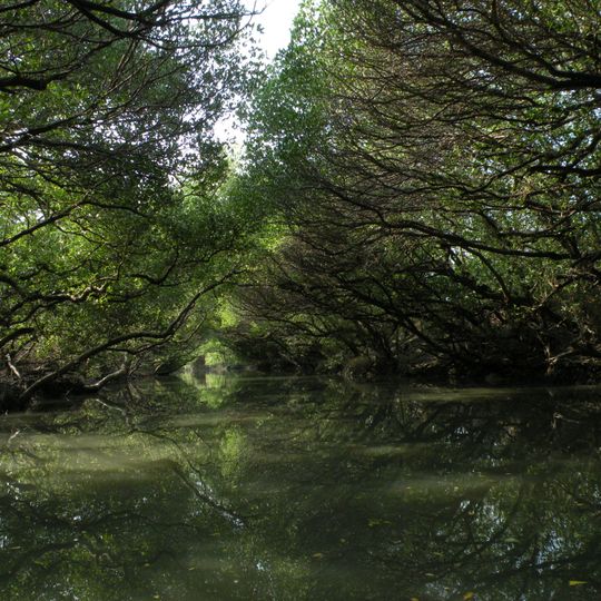 Parc national de Taijiang