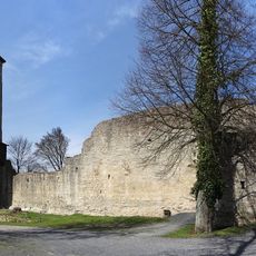 Winterquartiere der Mopsfledermaus in der Rhön