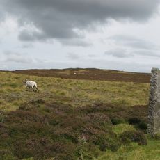 Edmundbyers Cross, Muggleswick Common, 1460m west of Heather Lea