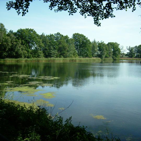 Lossa und Nebengewässer