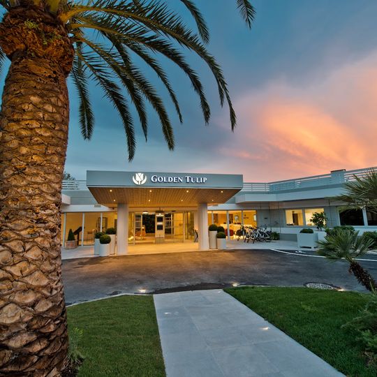 Golden Tulip