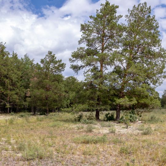 Natural Monument "Jackdaw hill"