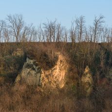 Neun Mauna ("Nine men")