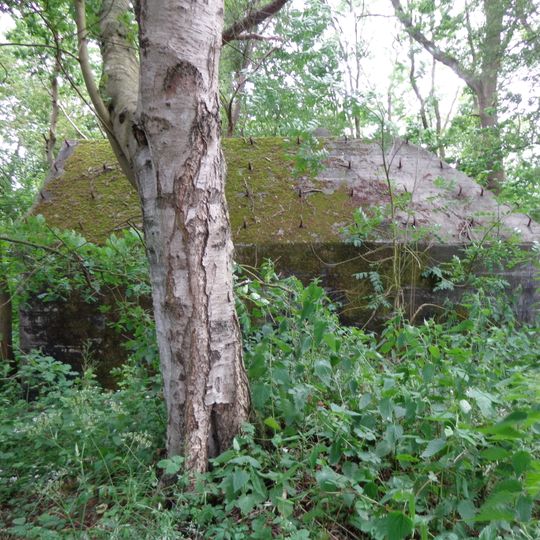 Kleizuwe te 's-Graveland