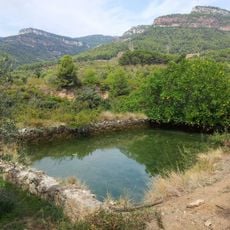 Bassa de la Balandra