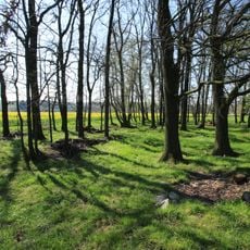 Mittleres Zwickauer Muldetal