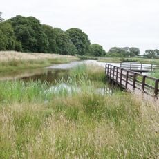 Campfield Marsh RSPB reserve