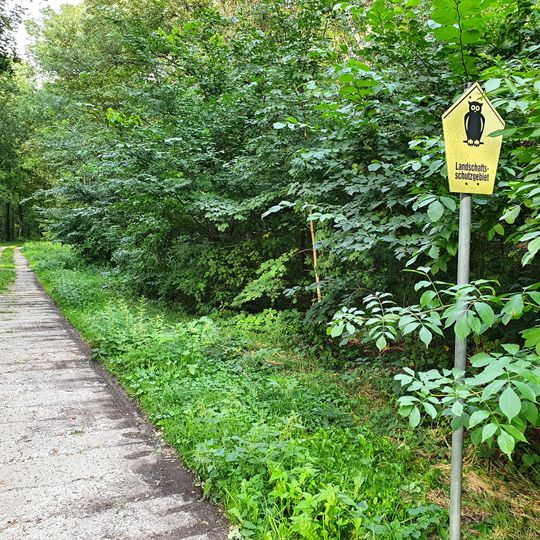 Shire forest near Naunhof