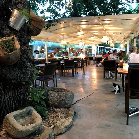 Restaurant Le Mas du Bélier