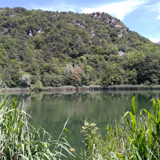 Ville Lake Natural Reserve