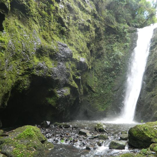 São Francisco de Paula National Forest