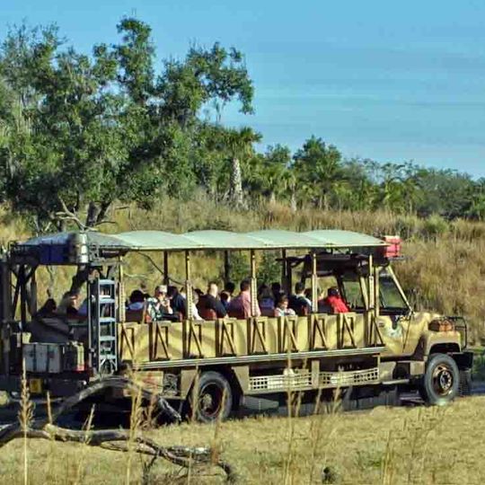 Kilimanjaro Safaris