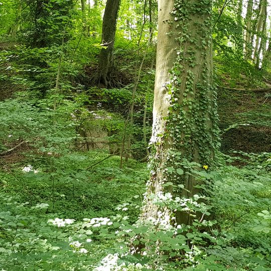 Groeve de Kleine Dolekamer