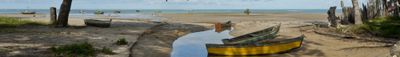 Panoramic View 0