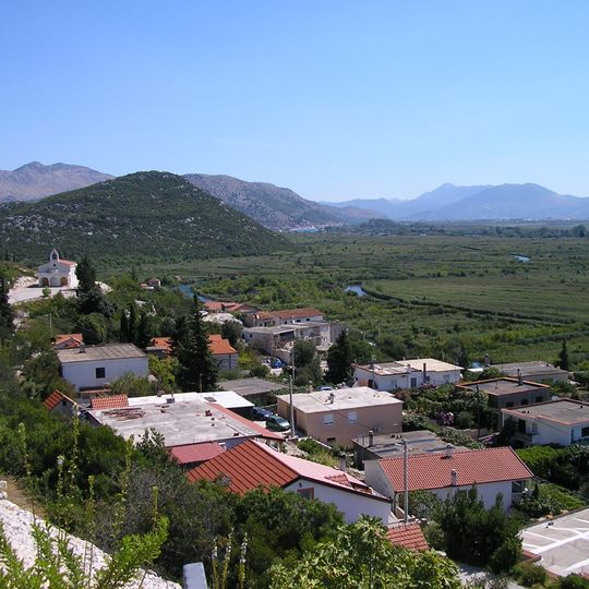 Šarić Struga