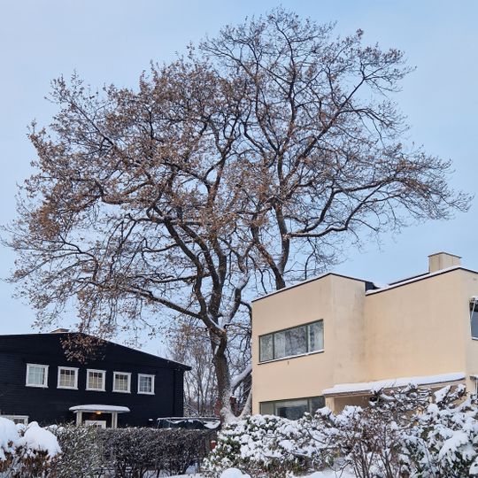 Anne Maries vei 16/Havna alle