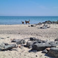 Hunde-Strand