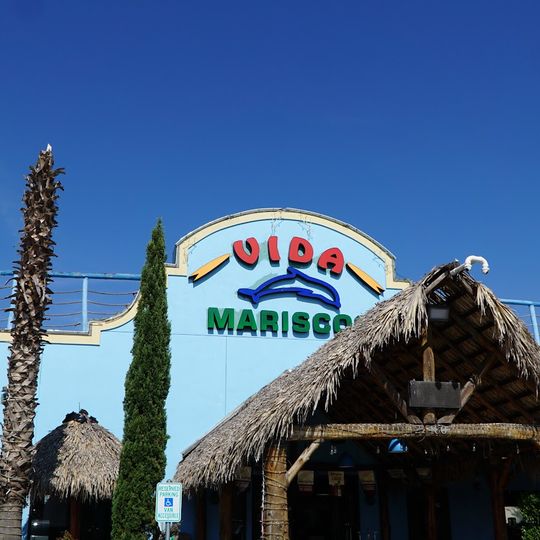 Vida Mariscos