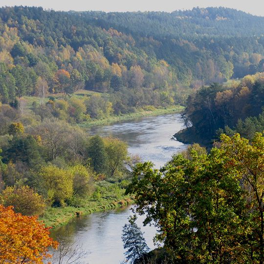 Verkšionių regykla