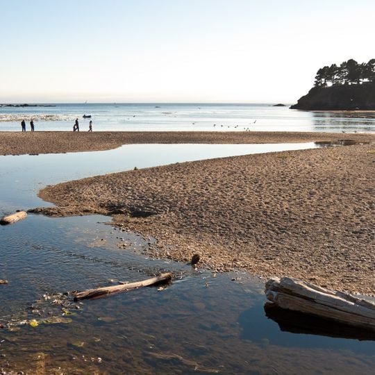 Van Damme State Park