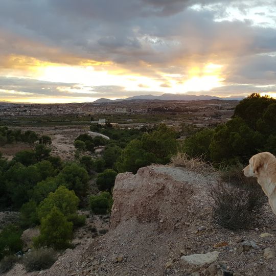 Javalí Viejo