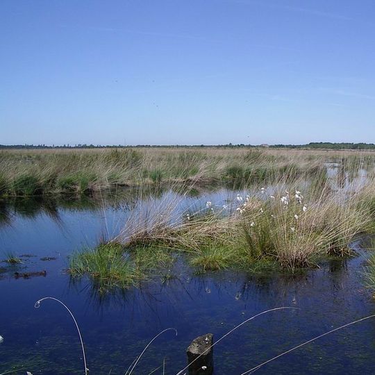 Ahlen-Falkenberger Moor, Halemer/Dahlemer See